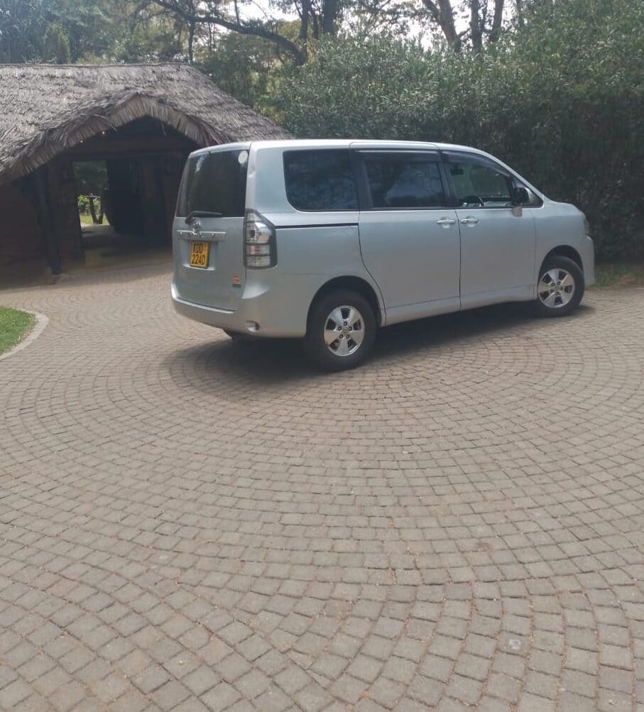 WhatsApp Image 2024-10-28 at 12.36.32 (1) bob van